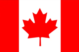 Electrology in Canada